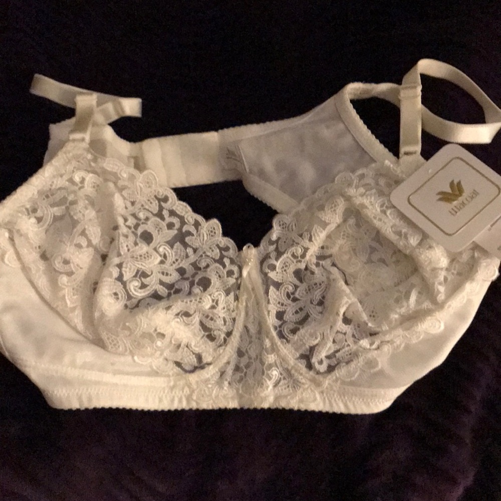 Wacoal lace bra 36c